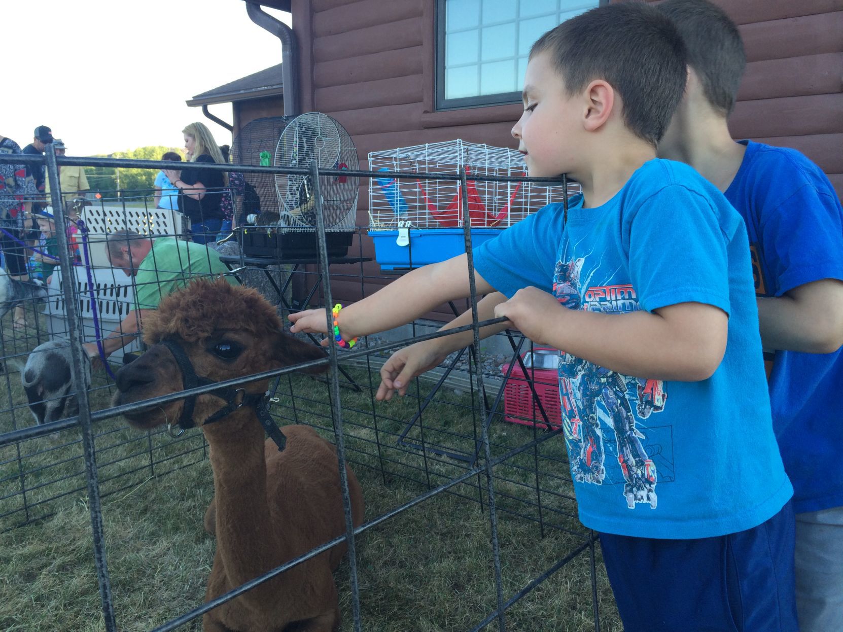 Popular pets